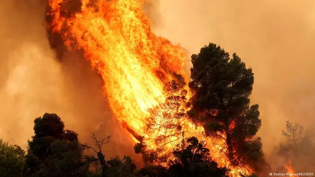 How to better protect Europe from wildfires